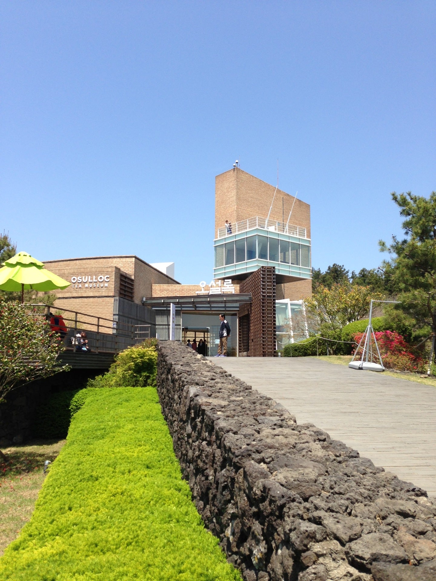 OSULLOC Tea Museum (오설록 티뮤지엄)