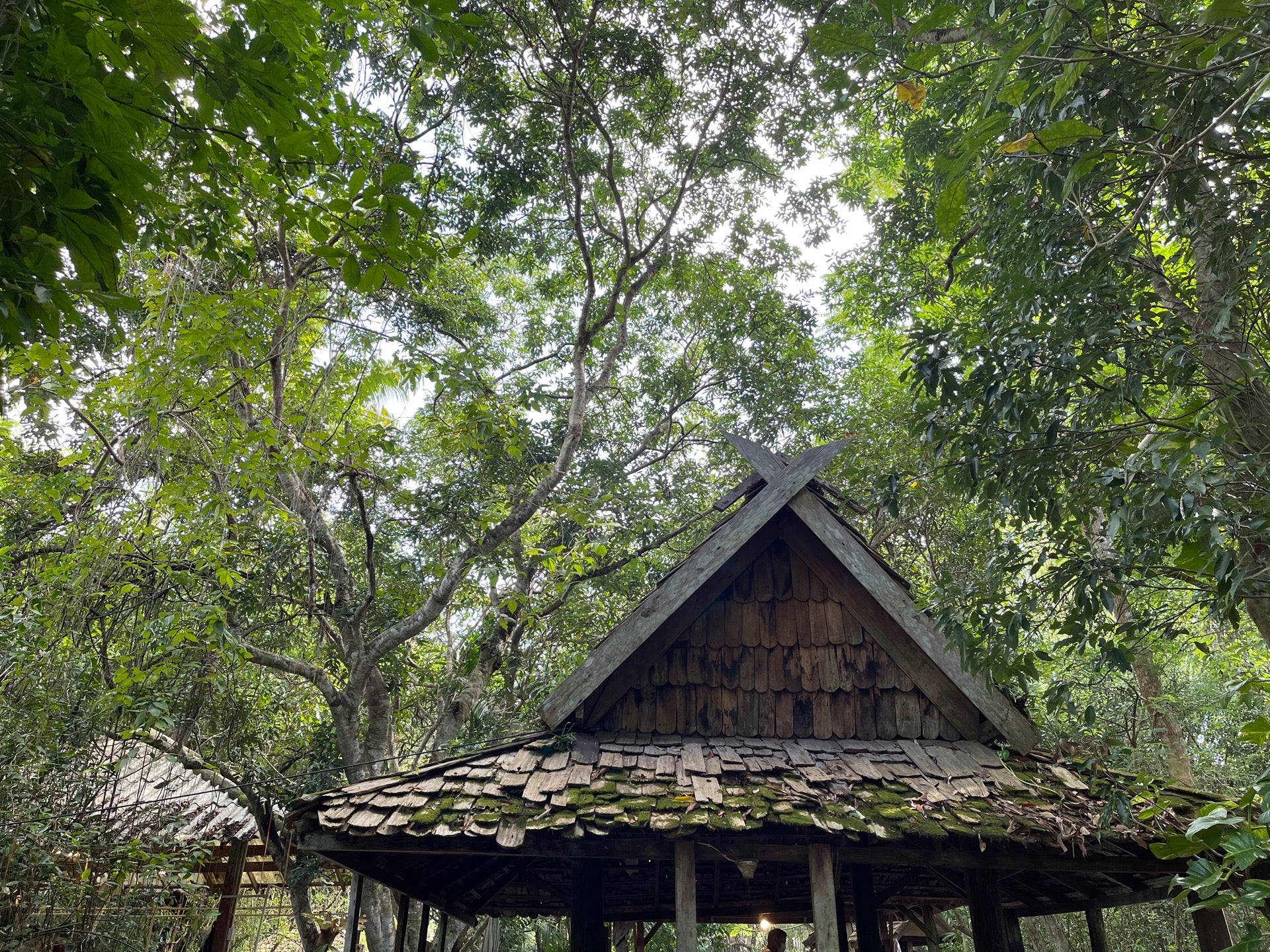 Nana Jungle Chiang Mai