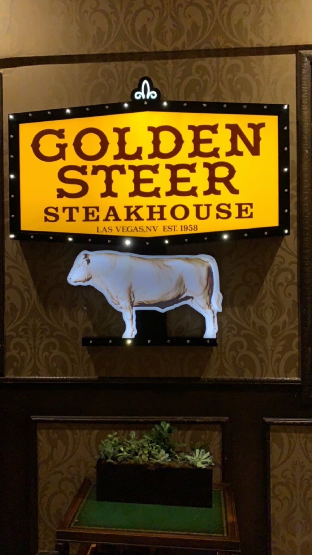 Golden Steer