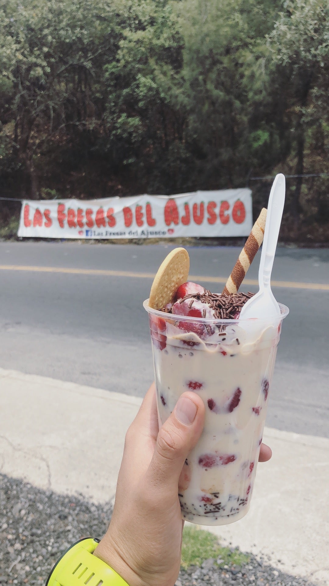 Fresas del Ajusco