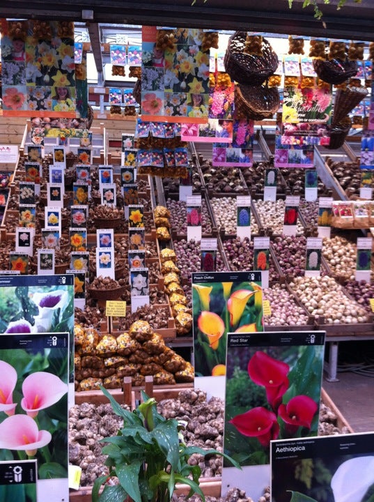 Flower Market (Bloemenmarkt)