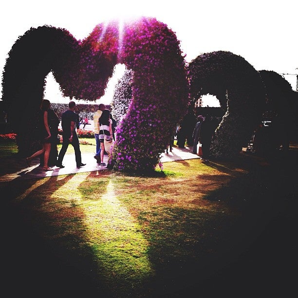 Dubai Miracle Garden (حديقة الزهور)