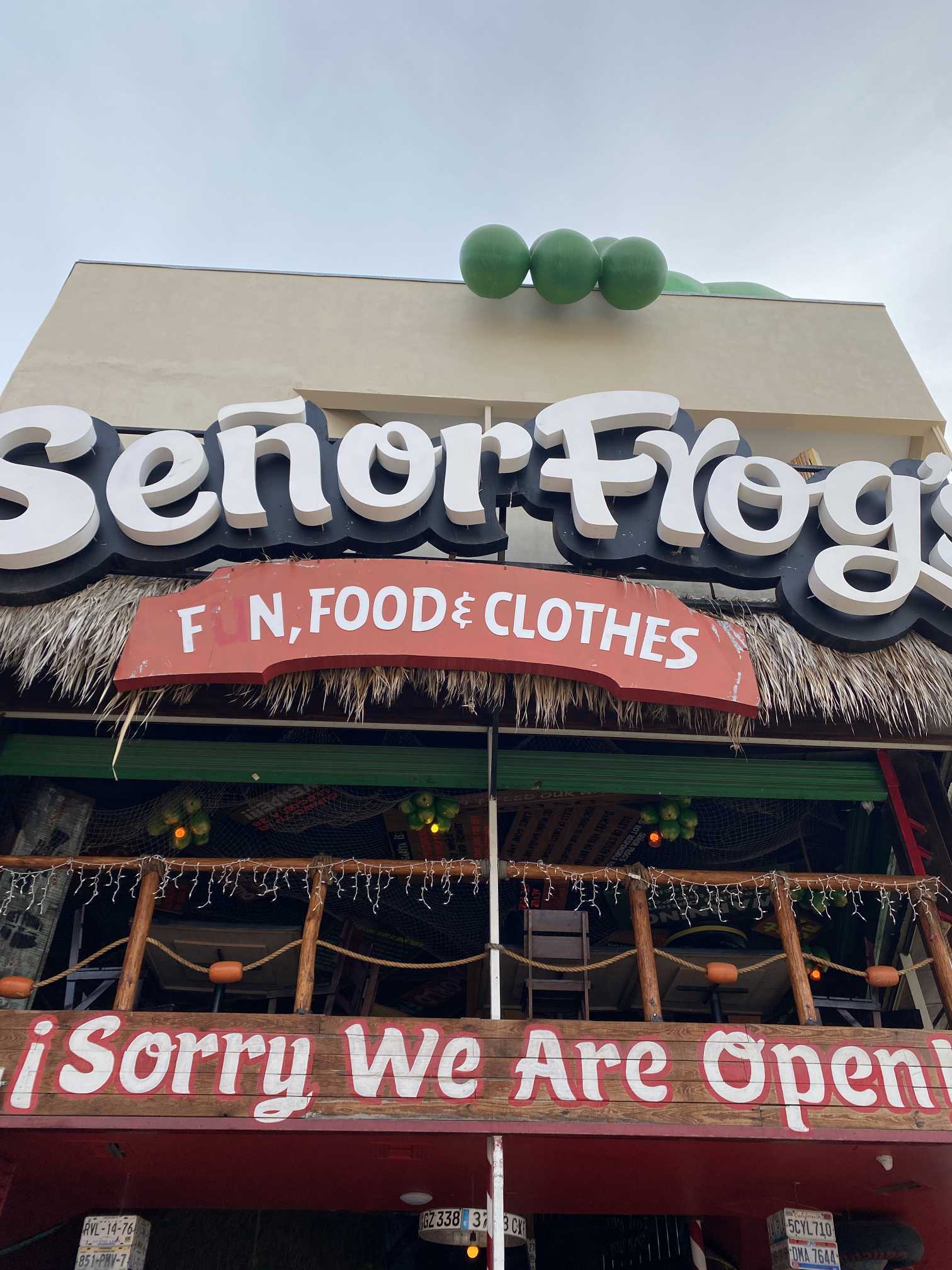 Señor Frog's