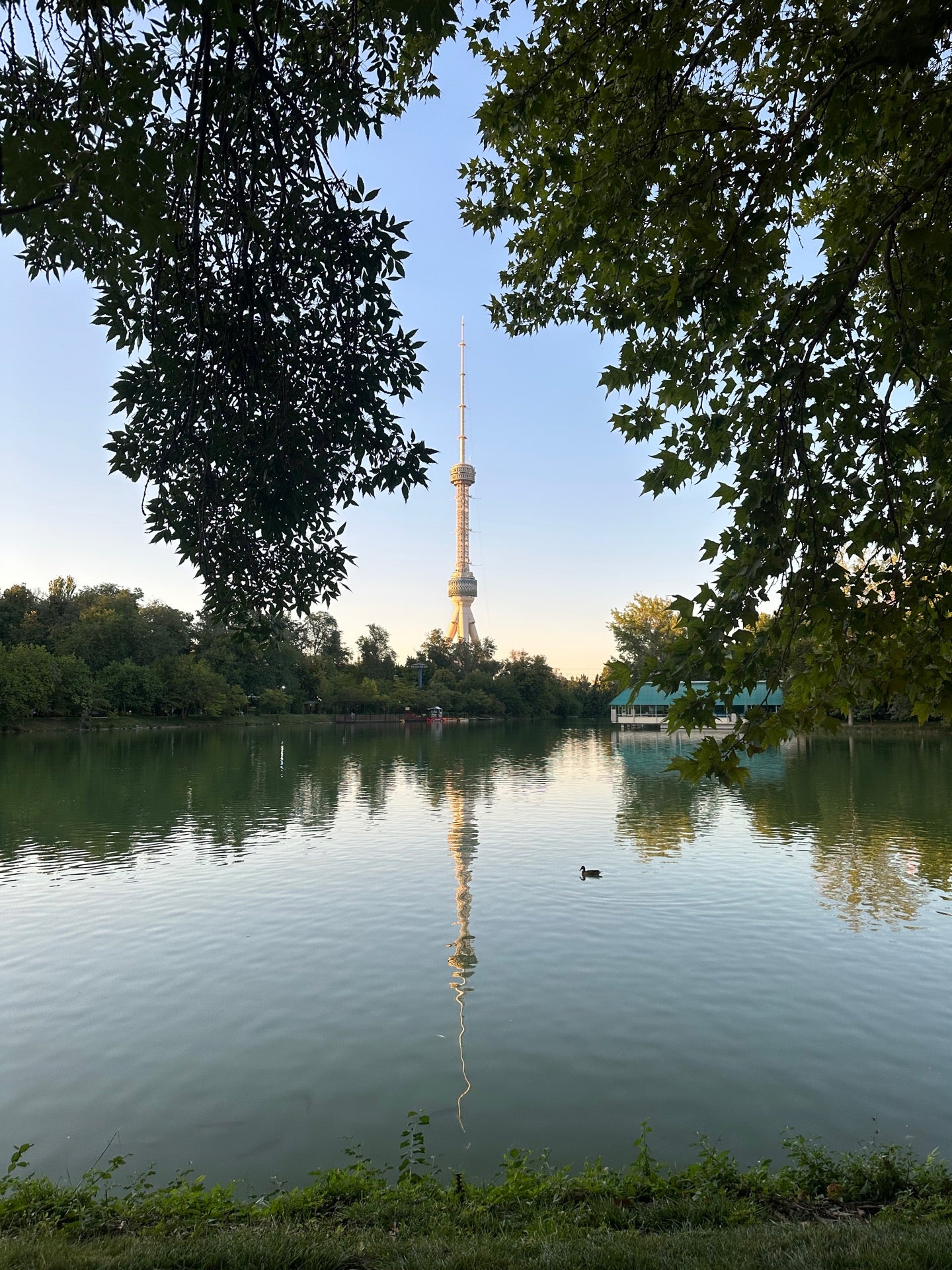 Brasserie on the park