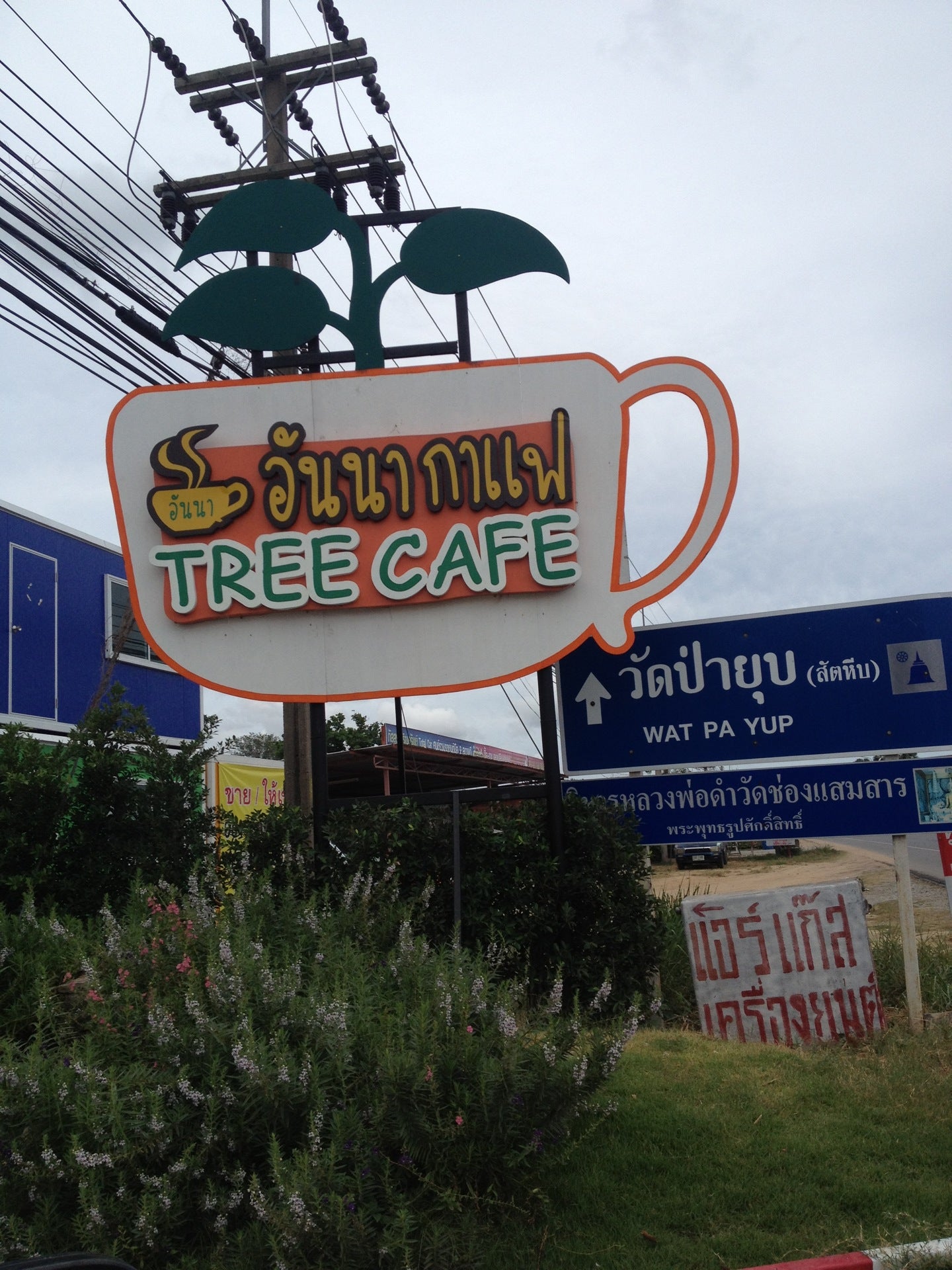 Anna Tree Cafe (อันนา กาแฟ)