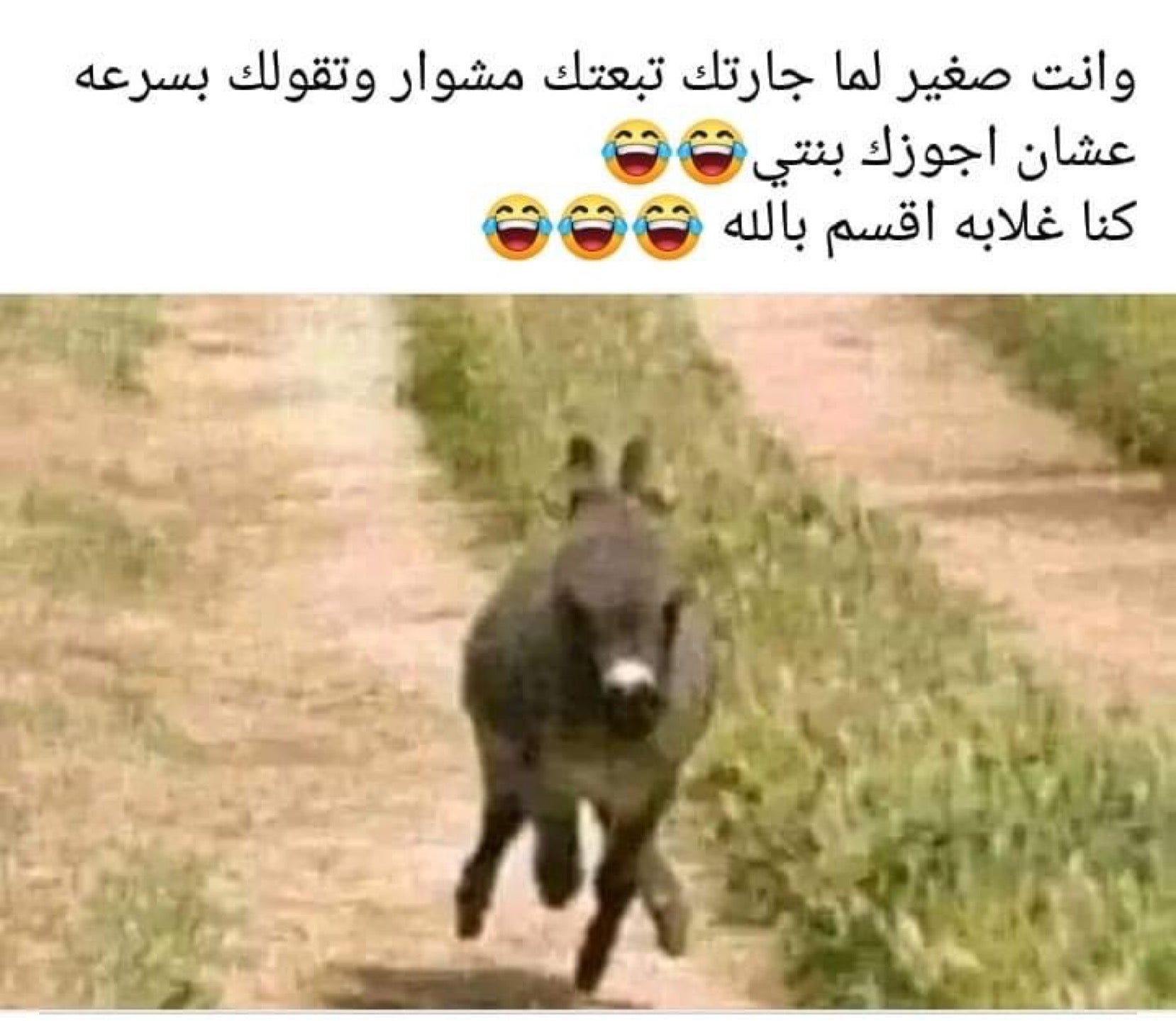 فدركرز