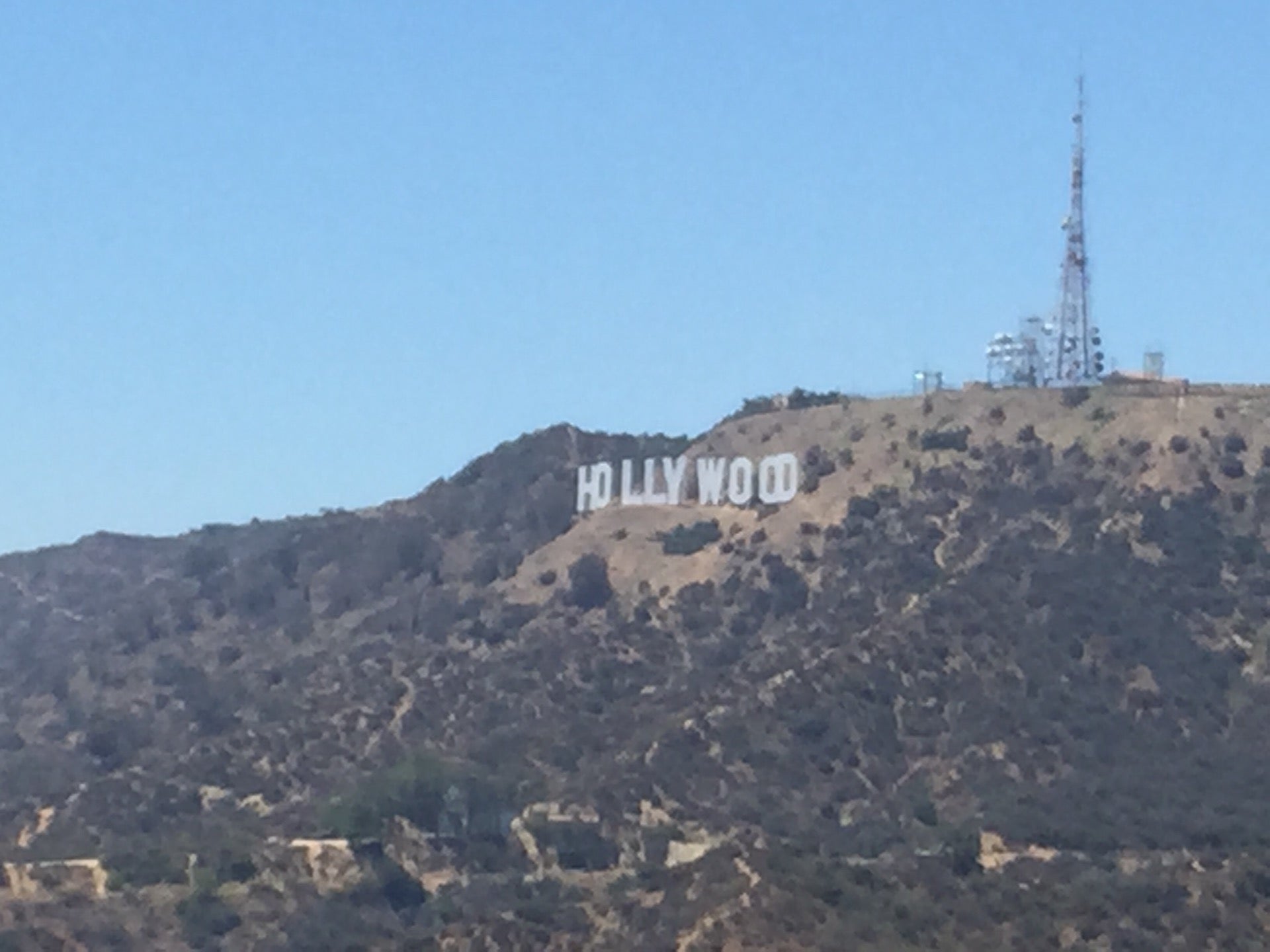 Hollywood Sign View
