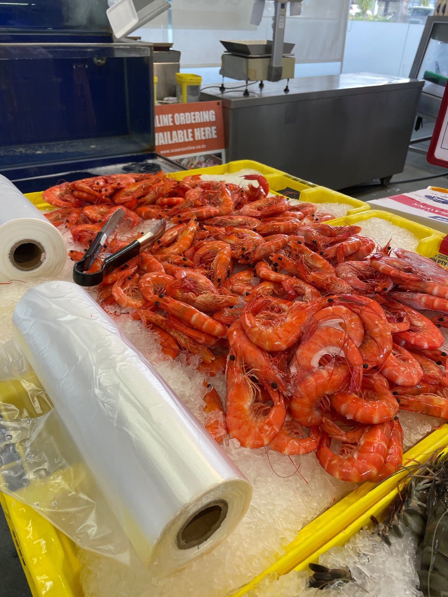 Oceanz Seafood Markets