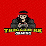 TRIGGER EMPIRE GAMING (RK VISHAP AGRAHARI)