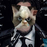 JohnWick TheCat