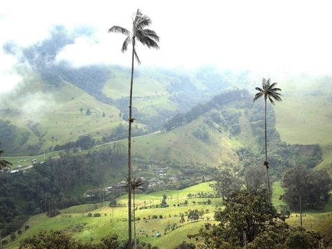 Quindío River