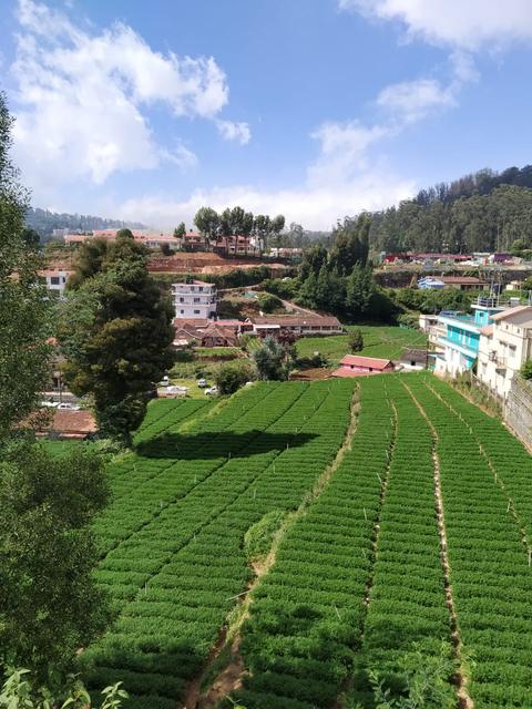 Ooty Dormitories