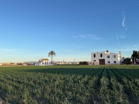 Alboraya