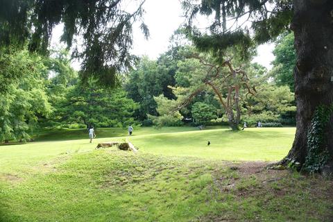 Botanic Garden Hokkaidō University