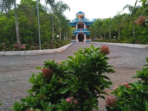Paradise Forest Resort