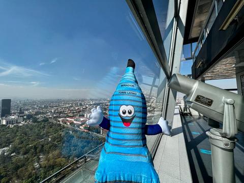 Mirador Torre Latino