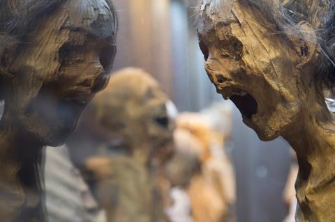 Museum of the Mummies of Guanajuato