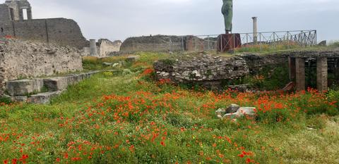 POMPEI