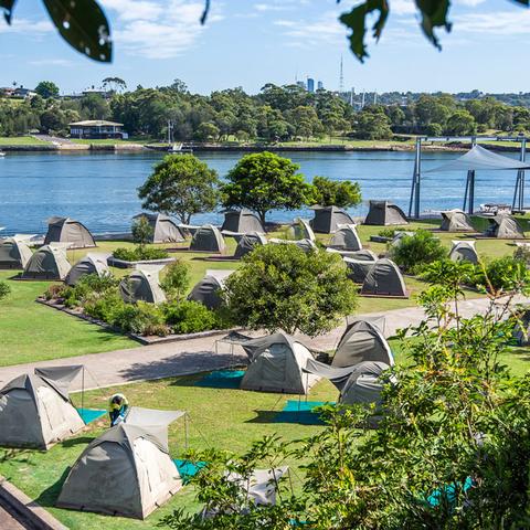 Cockatoo Island Waterfront Campground