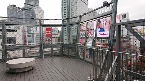 Mag's Park Rooftop Shibuya Crossing