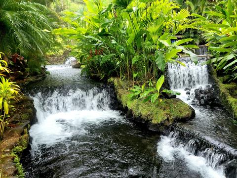 Tabacon Hot Springs