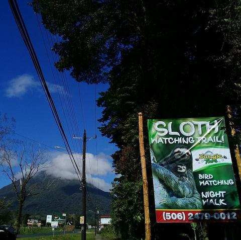 Sloth Watching Trail La Fortuna, Arenal Volcano Private Trail