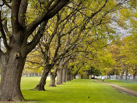 Hagley Park North