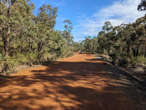 John Forrest National Park