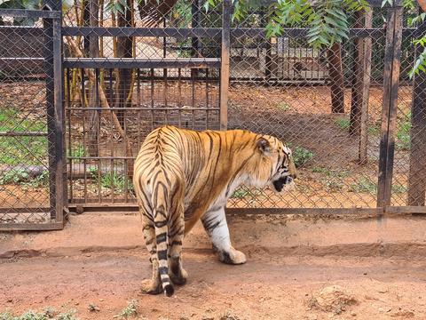 Atal Bihari Vajapayee Zoological Park