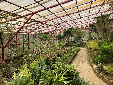 Plant Conservatory