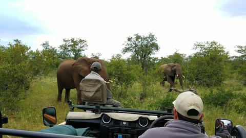 Timbavati Private Nature Reserve