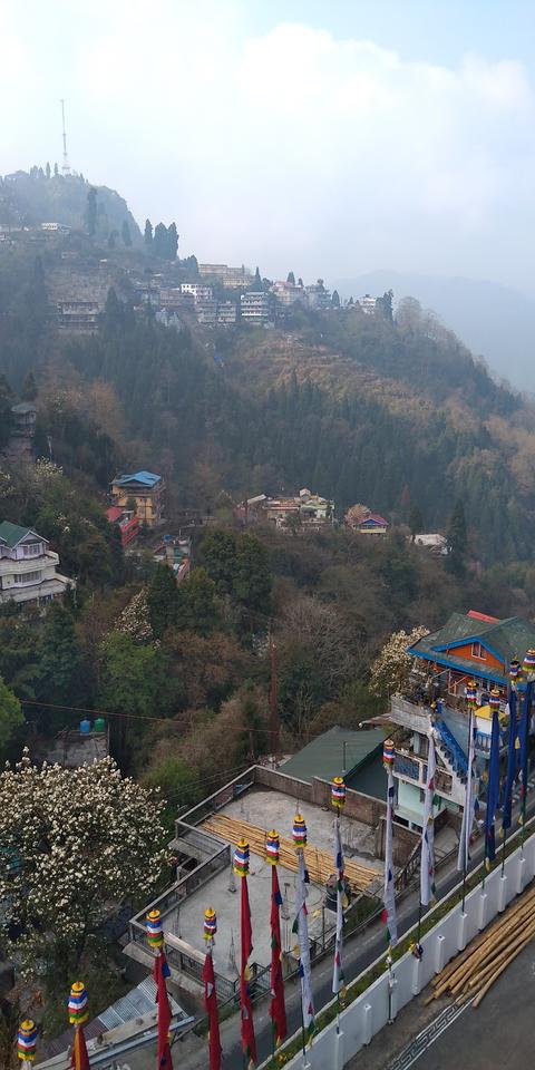 Tibetan Buddhist Monastery, Darjeeling