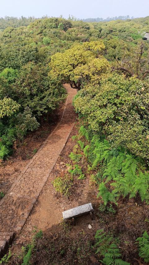 Gureghar Nature Trail ViewPoint