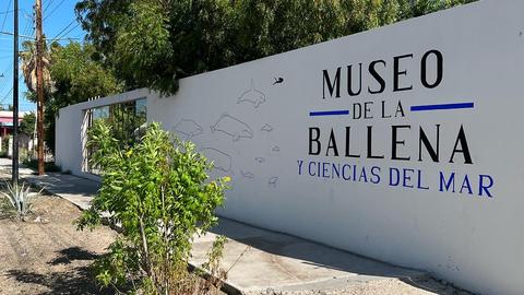 Museo de la Ballena y Ciencias del Mar