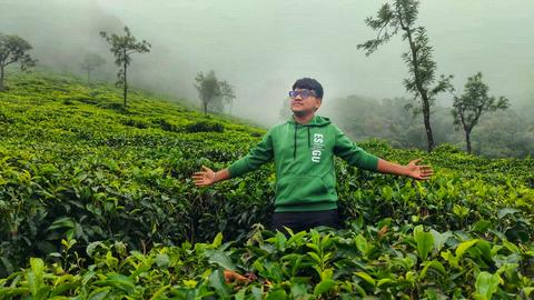 Tea estate ooty