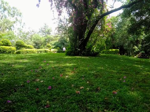 Langata Botanical Gardens