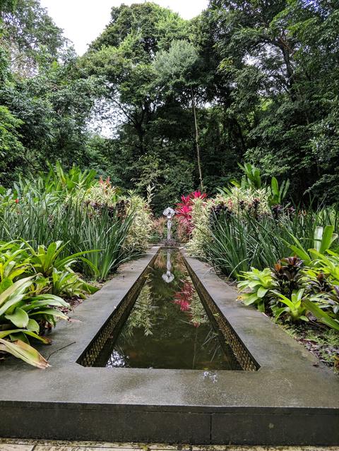 Botanical Garden of Recife