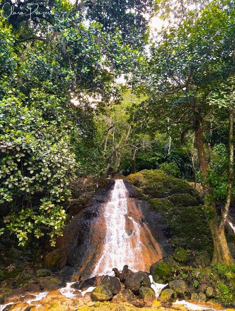 Parque São Bartolomeu e Parque Pirajá