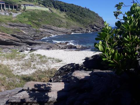 Ponta do Criminoso