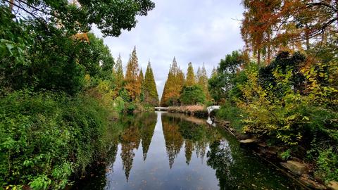 Chongming Island