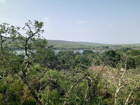 Nahargarh Sanctuary