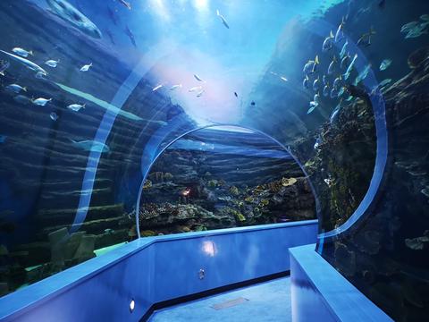 Sharjah Aquarium