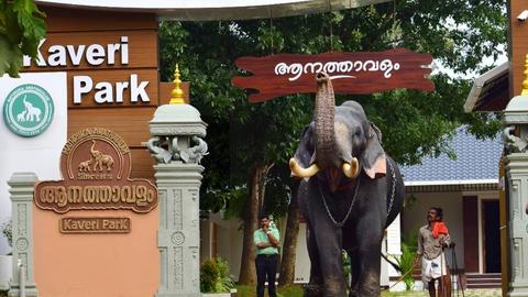 Kaveri Elephant Park