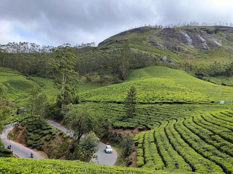 Munnar Hill Station