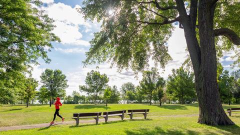 Promenade-Bellerive Park