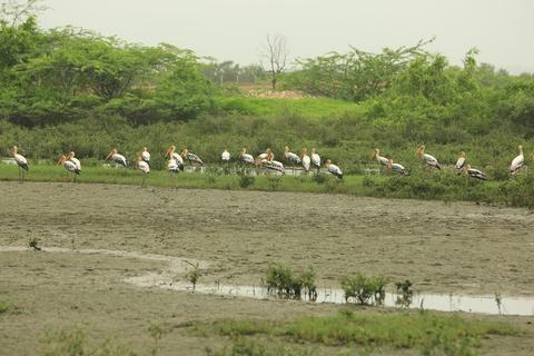 Fudam Bird Sanctuary