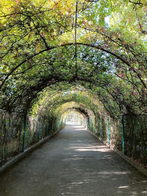 Yerevan Botanical Garden