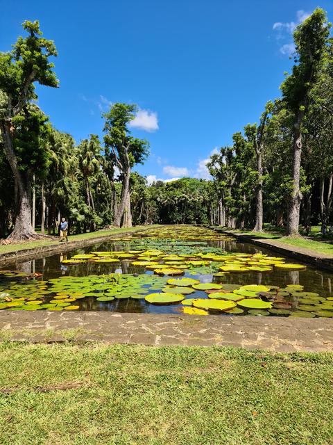 Sir Seewoosagur Ramgoolam Botanical Garden