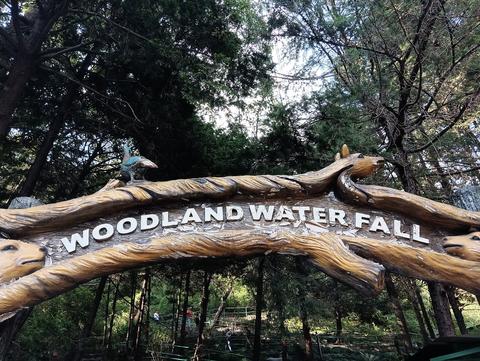 Woodland water fall nainital