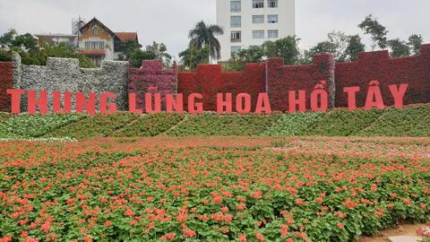 Ho Tay Flower Garden